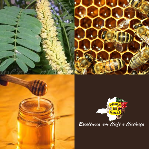 Mel da flor de algaroba
