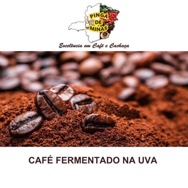 CAFÉ FERMENTADO NA UVA - Imagem 3